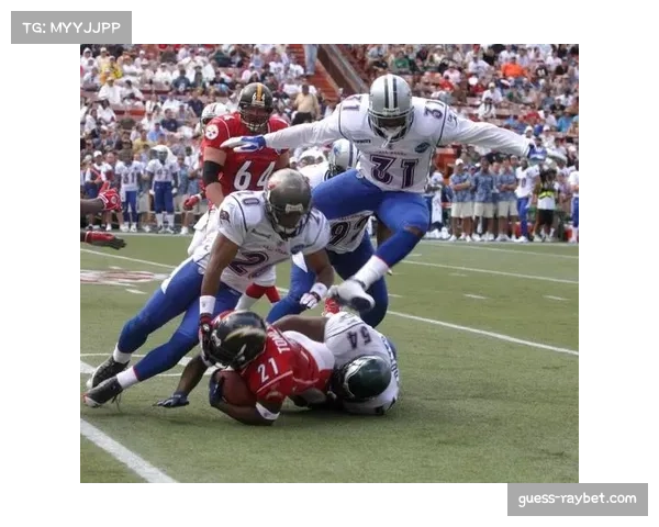 北美市场凭借NFL商业化成功长期占据全球橄榄球产业主导地位